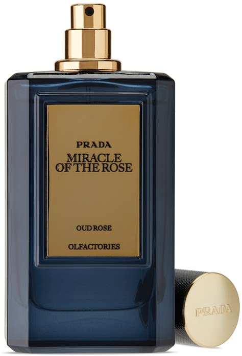 day for night prada|miracle of the rose prada.